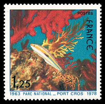 Click For Larger REPRESENTATIVE Image