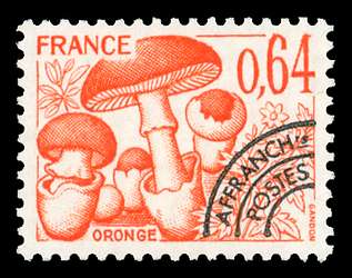 Click For Larger REPRESENTATIVE Image