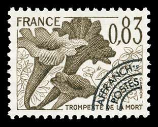 Click For Larger REPRESENTATIVE Image