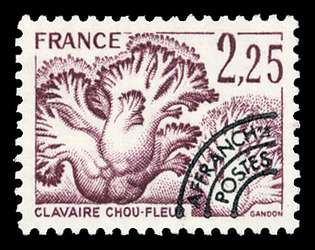 Click For Larger REPRESENTATIVE Image