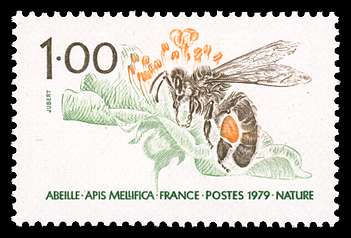 Click For Larger REPRESENTATIVE Image