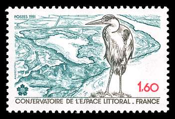 Click For Larger REPRESENTATIVE Image