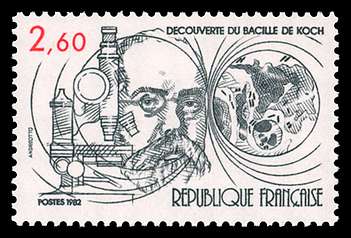 Click For Larger REPRESENTATIVE Image