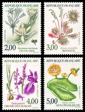 Click For Larger REPRESENTATIVE Image