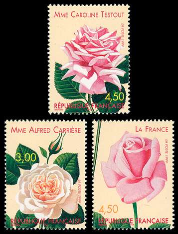 Click For Larger REPRESENTATIVE Image