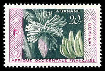 Click For Larger REPRESENTATIVE Image