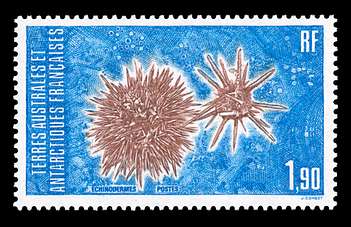 Click For Larger REPRESENTATIVE Image
