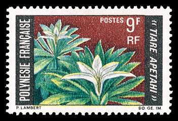 Click For Larger REPRESENTATIVE Image