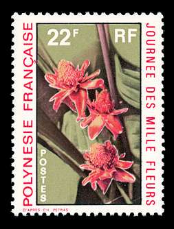 Click For Larger REPRESENTATIVE Image