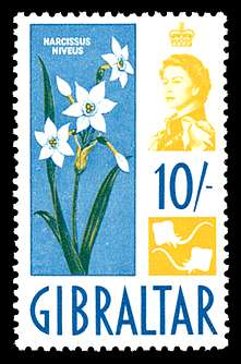 Click For Larger EXACT ACTUAL Image