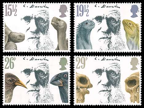 Click For Larger REPRESENTATIVE Image