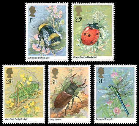 Click For Larger REPRESENTATIVE Image