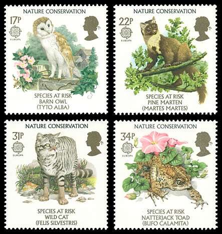 Click For Larger REPRESENTATIVE Image