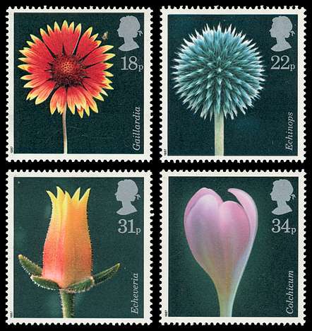 Click For Larger REPRESENTATIVE Image