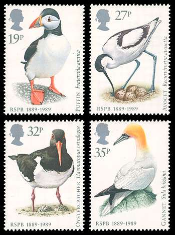 Click For Larger REPRESENTATIVE Image