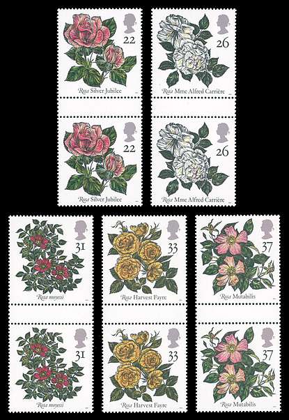 Click For Larger REPRESENTATIVE Image