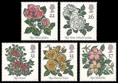 Click For Larger REPRESENTATIVE Image