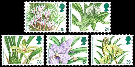 Click For Larger REPRESENTATIVE Image