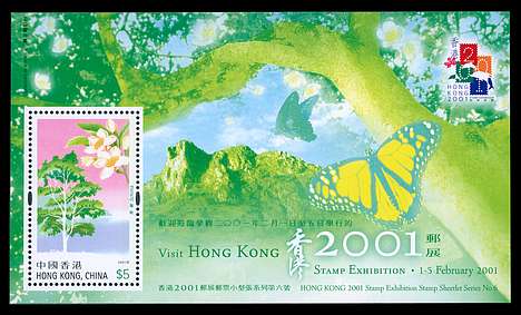 Click For Larger EXACT ACTUAL Image