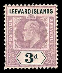 Click For Larger EXACT ACTUAL Image