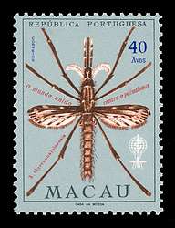 Click For Larger REPRESENTATIVE Image