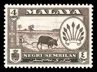 Click For Larger REPRESENTATIVE Image