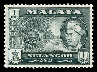 Click For Larger REPRESENTATIVE Image