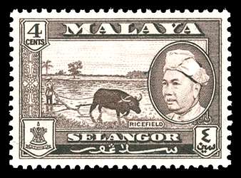 Click For Larger REPRESENTATIVE Image