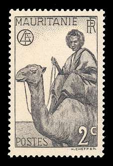 Click For Larger REPRESENTATIVE Image