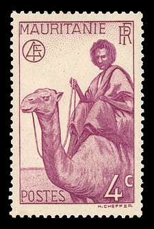 Click For Larger REPRESENTATIVE Image