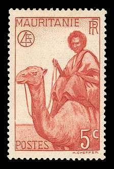 Click For Larger REPRESENTATIVE Image