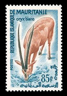 Click For Larger REPRESENTATIVE Image
