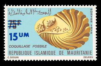 Click For Larger REPRESENTATIVE Image
