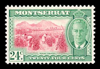 Click For Larger REPRESENTATIVE Image