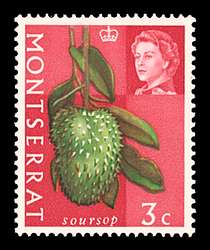 Click For Larger REPRESENTATIVE Image