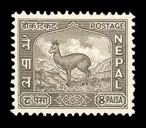 Click For Larger REPRESENTATIVE Image