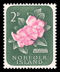 Click For Larger REPRESENTATIVE Image