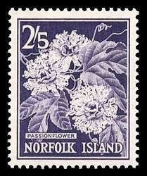 Click For Larger REPRESENTATIVE Image