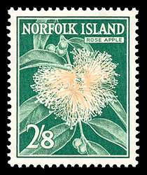 Click For Larger REPRESENTATIVE Image