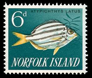 Click For Larger REPRESENTATIVE Image