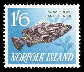 Click For Larger REPRESENTATIVE Image