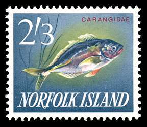 Click For Larger REPRESENTATIVE Image