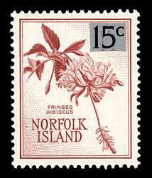 Click For Larger REPRESENTATIVE Image