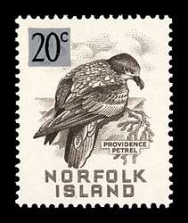 Click For Larger REPRESENTATIVE Image