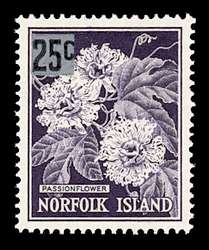 Click For Larger REPRESENTATIVE Image