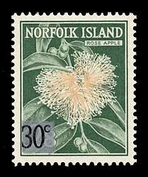 Click For Larger REPRESENTATIVE Image