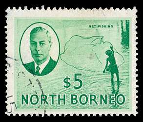 Click For Larger EXACT ACTUAL Image