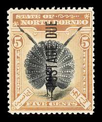 Click For Larger EXACT ACTUAL Image