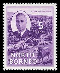 Click For Larger REPRESENTATIVE Image