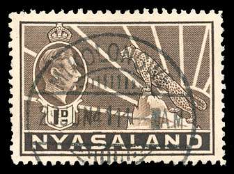 Click For Larger EXACT ACTUAL Image